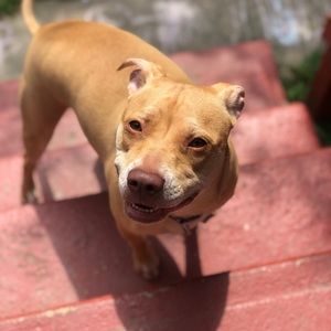 Meet your Posher, Cheyenne